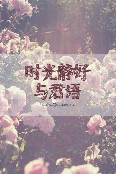 时光静好 与君语