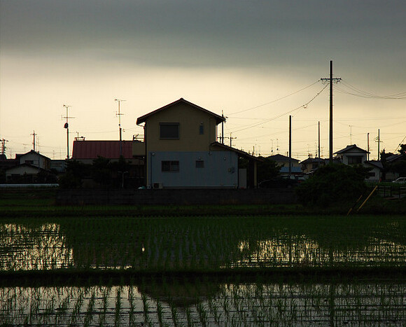 北海道 Hokkaido 初 路边民居 洁净的夏风稻田堆景色 堆糖 美图壁纸兴趣社区