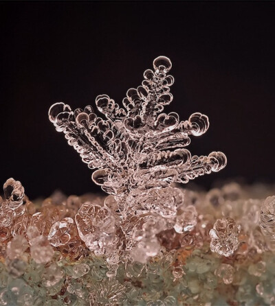 晶莹剔透美雪花