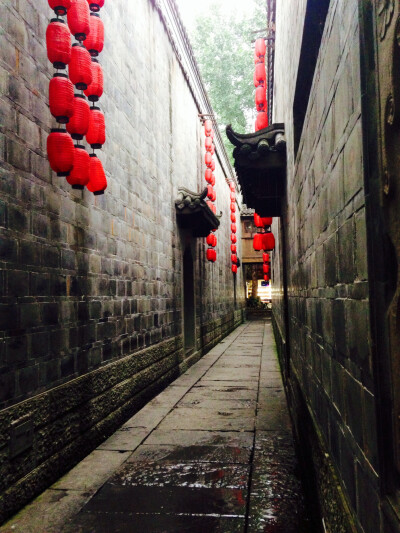 成都紫竹 - 堆糖,美图壁纸兴趣社区