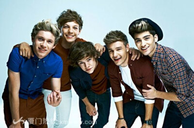 包括:zayn malik,liam payne,niall horan,louis tomlinson和harry