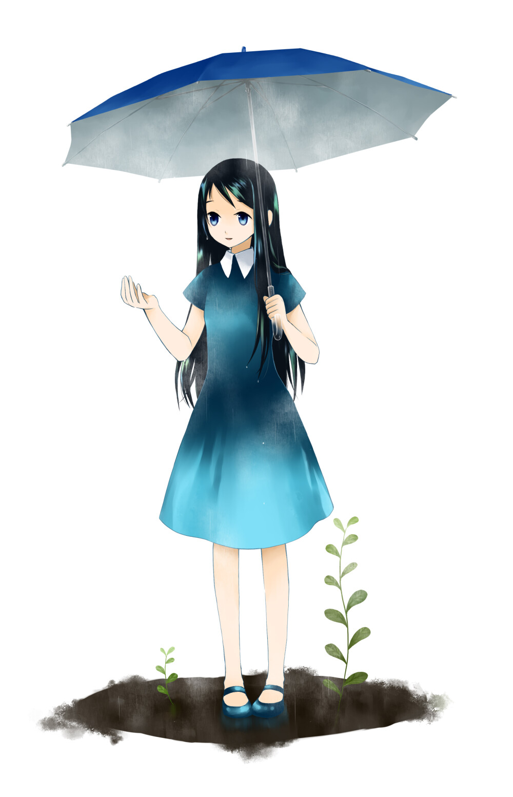 慈雨