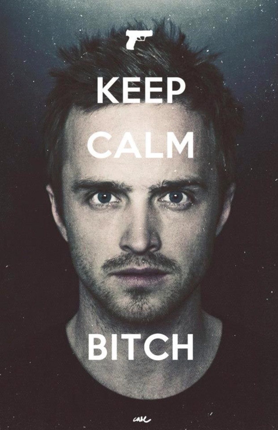 jesse pinkman