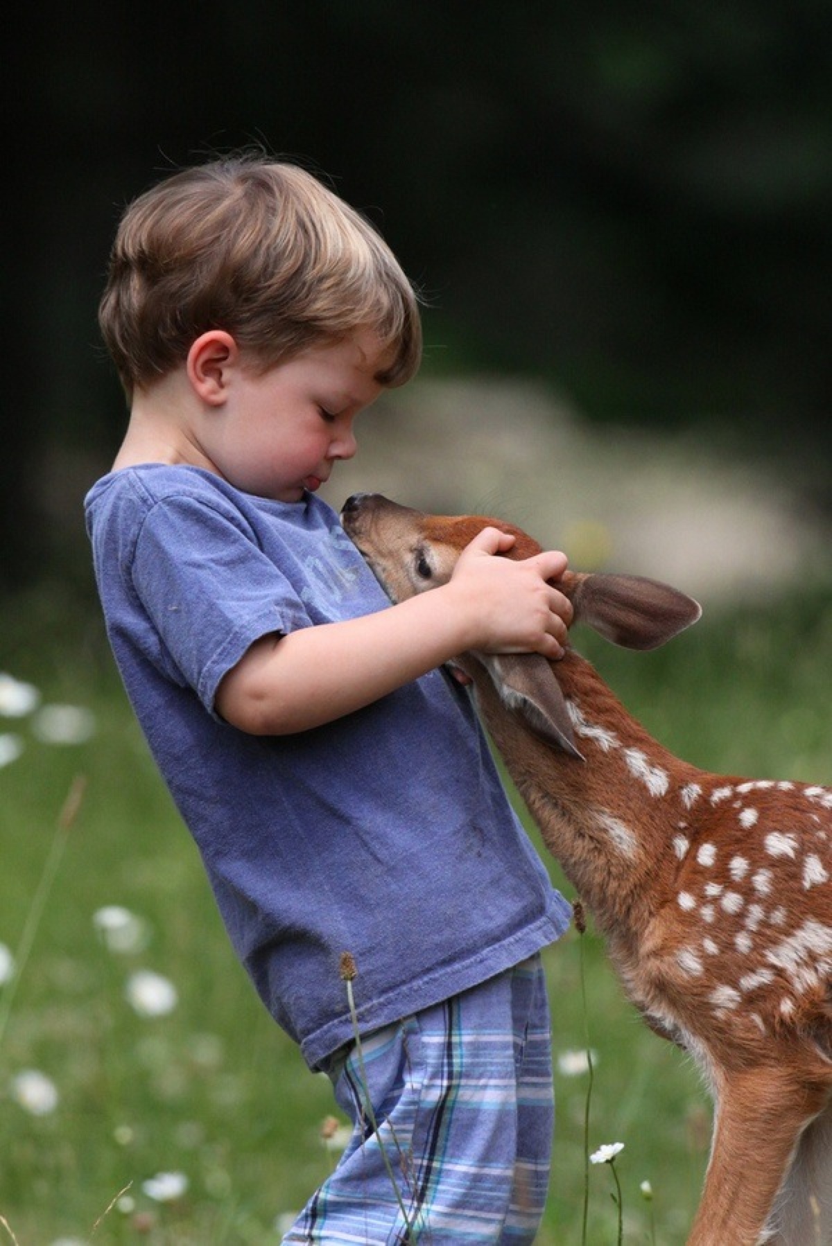 一组超有爱的图片:孩子与小动物