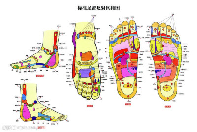 【足底反射区】泡完脚什么的没事常按按.哪里不好按哪里啊so easy!