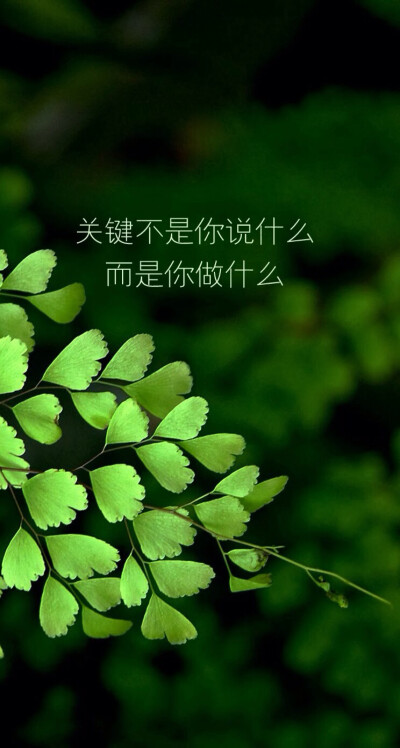 美言美句