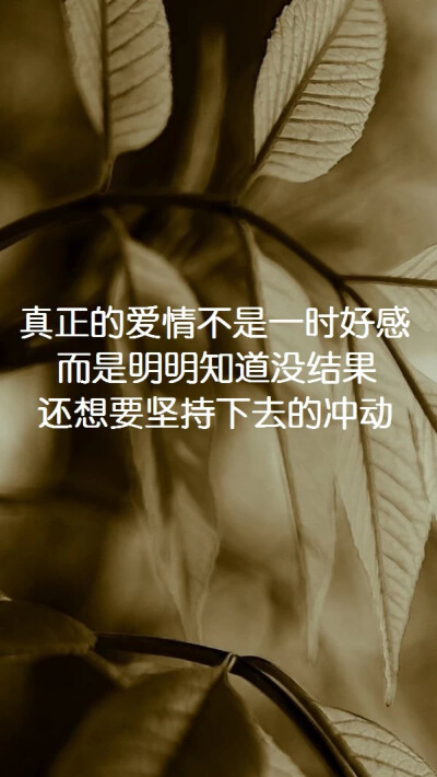 每个人也许都爱上过不爱他的人.