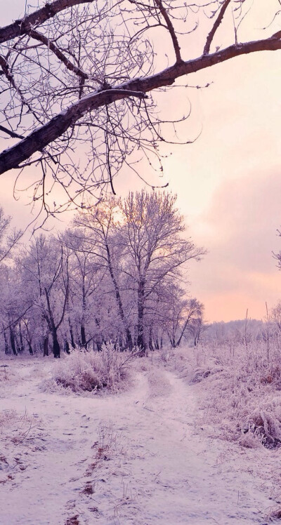 雪景