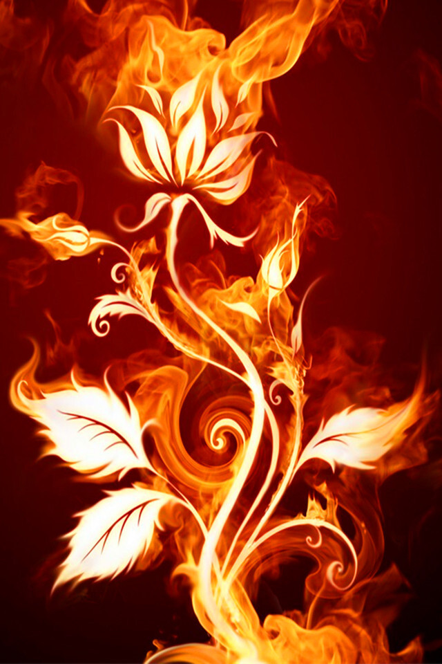 火焰花卉