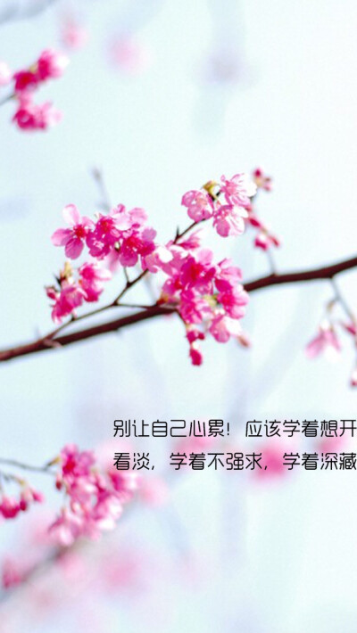 别让自己心累!应该学着想开.看淡.学着不强求.学着深藏.