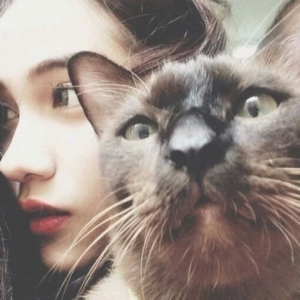 美女和傻猫【头像】
