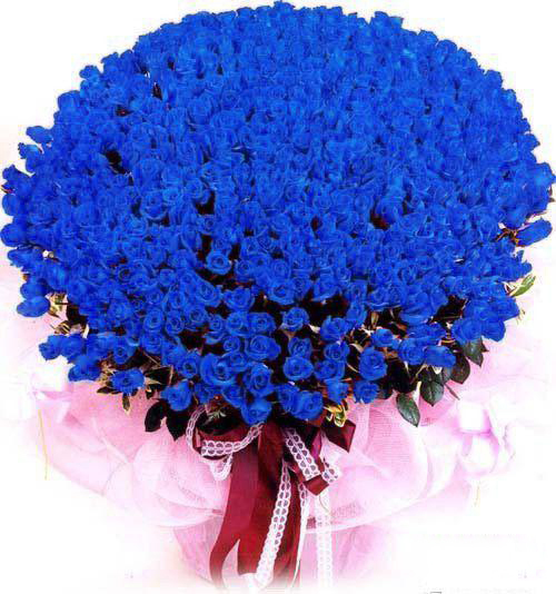 蓝色妖姬 玫瑰花 花束 蓝玫瑰 蓝色妖姬花束,蓝色妖姬,玫瑰花,花束,蓝