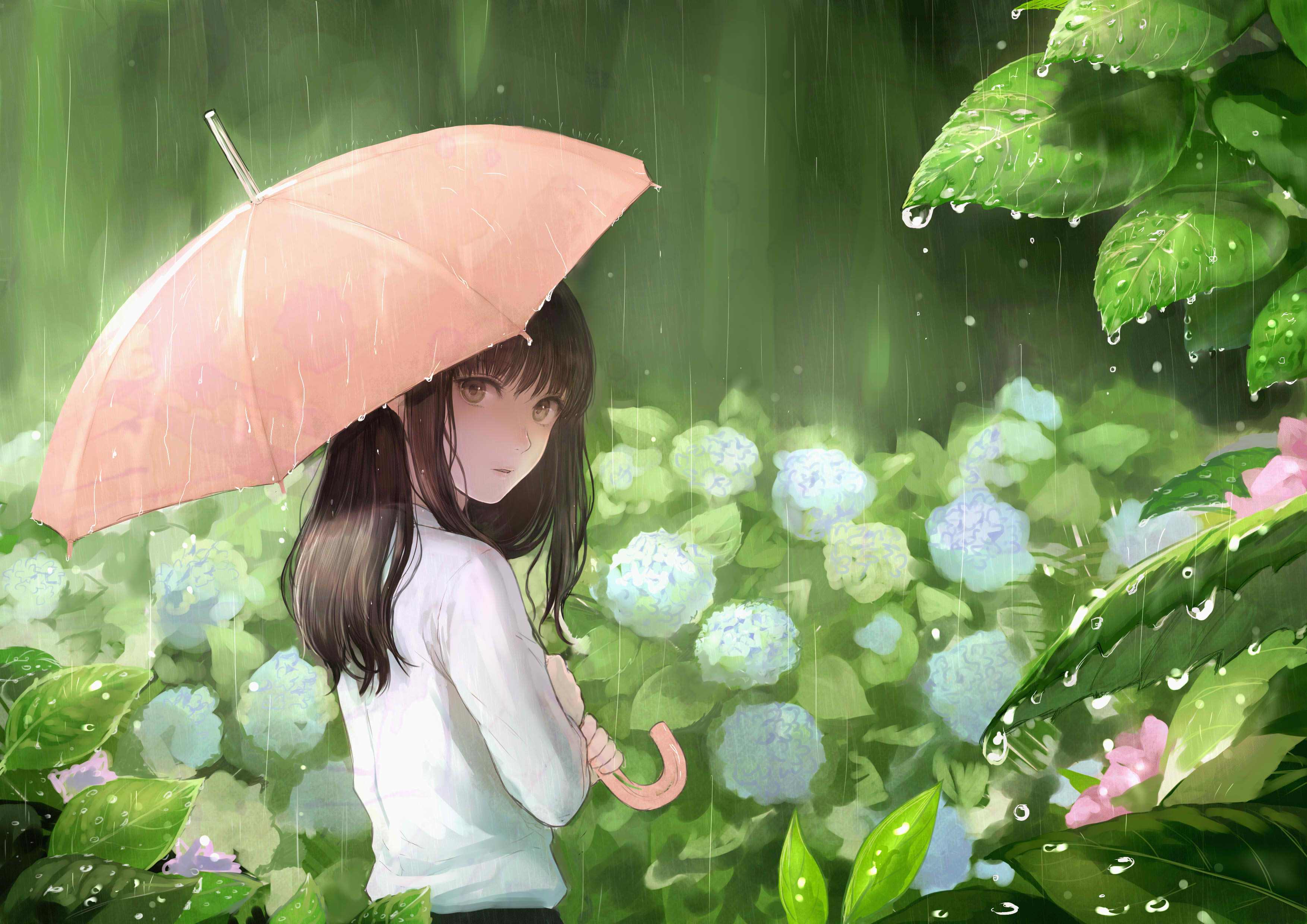 6月の雨p站二次元插画少女头像手绘壁纸伞紫阳花 堆糖 美图壁纸兴趣社区