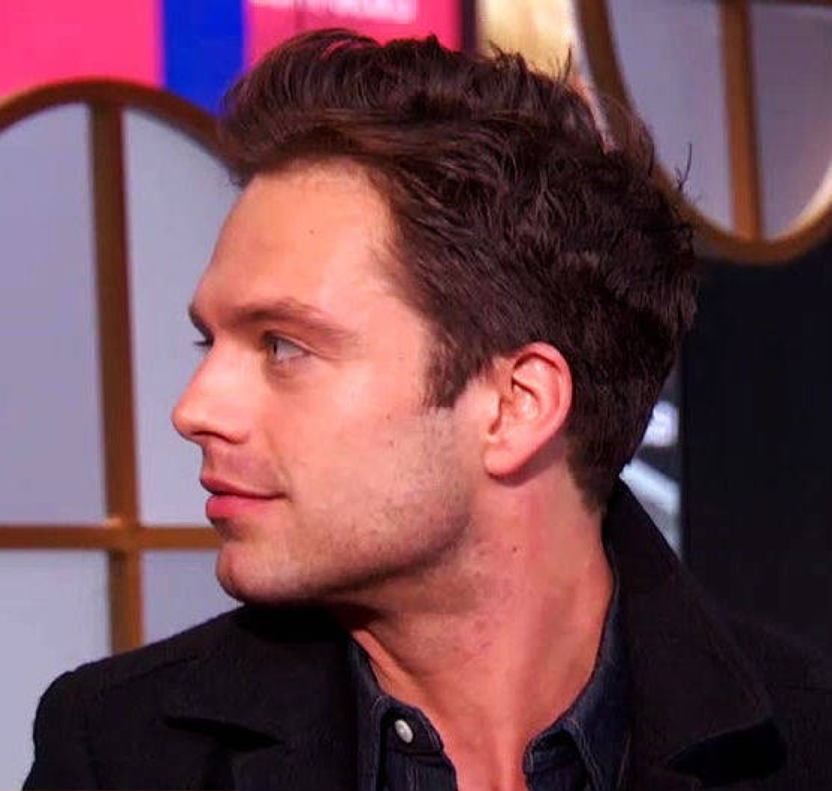 sebastian stan