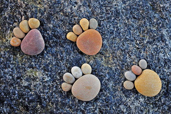 石头创意 用石头拼凑出的有趣足迹~像小动物的脚印