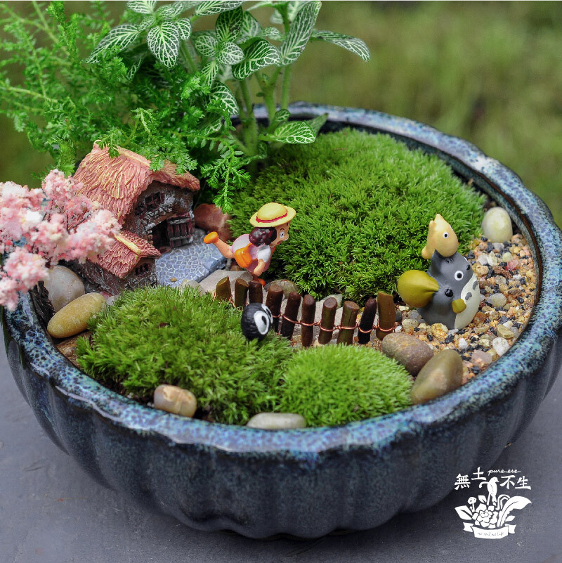 陶盆 苔藓 微景观 手工 创意 植物 礼物
