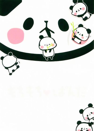 iphone壁纸 萌物 可爱 背景 动物 熊猫