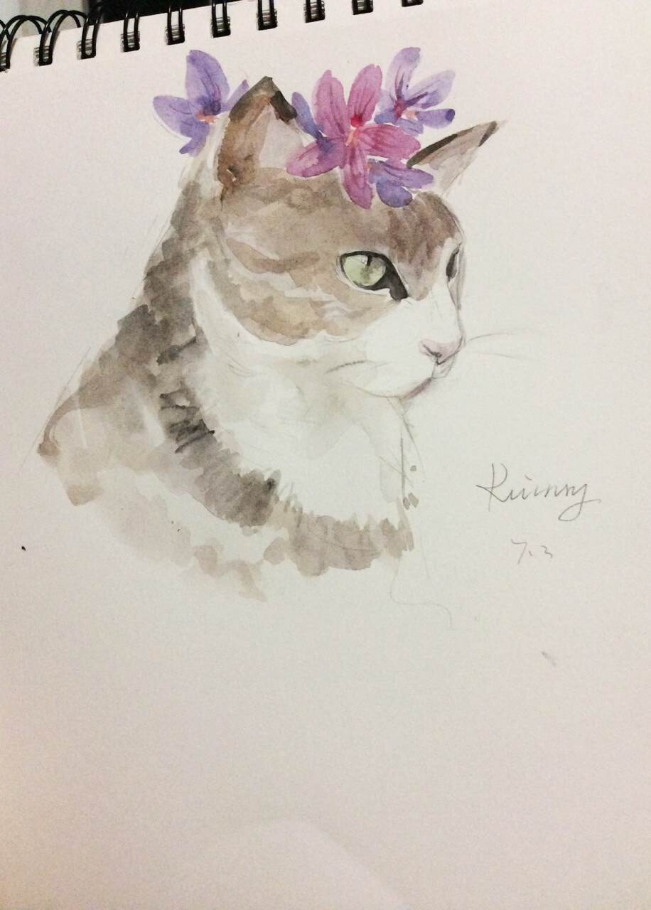 猫与花 水彩画 by ruinry