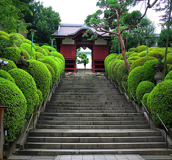 护国寺位于日本东京都文京区大冢五丁目,属于真言宗丰山派寺院.