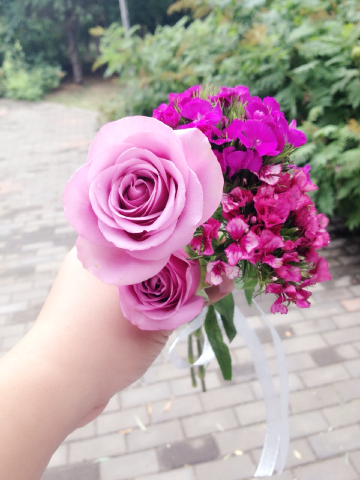 紫玫瑰 紫色的花朵 花束 - Pixabay上的免费照片 - Pixabay