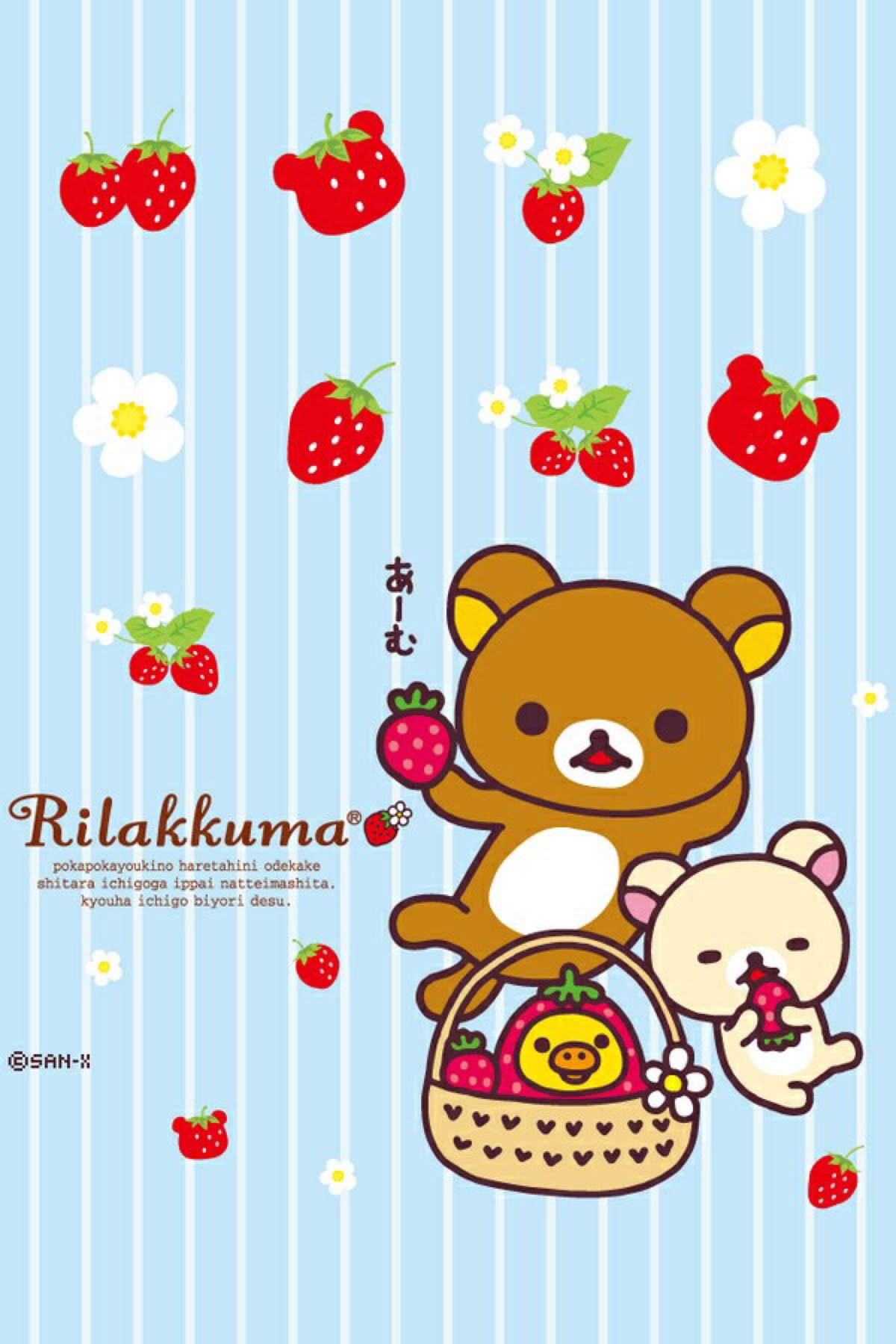 rilakkuma壁纸iphone5