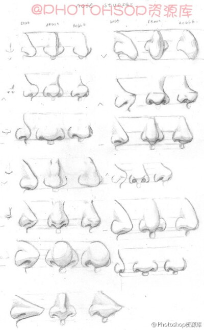 鼻子画法