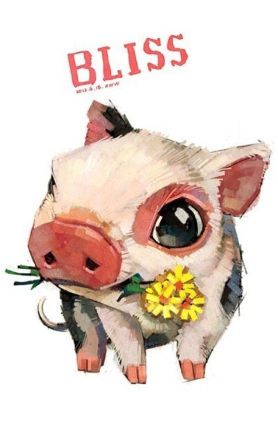 治愈系的小动物