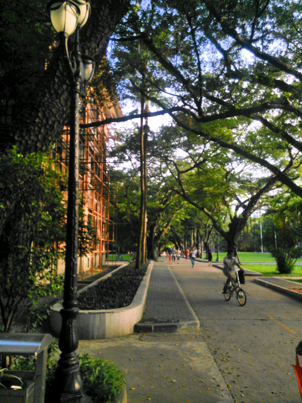 广州国立中山大学.很美.很适合生活