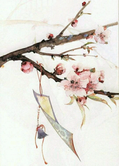 古风花卉,桃花