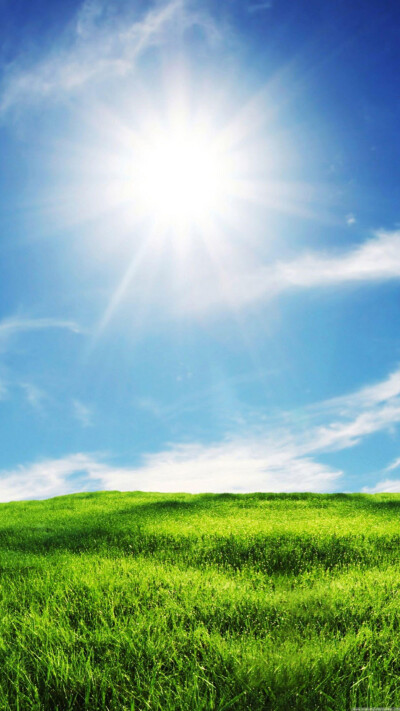 三星手机壁纸【1440x2560】绿色 草地 阳光 蓝天