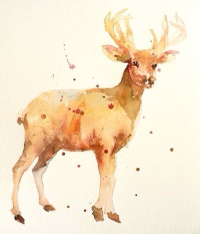 水彩 鹿 驯鹿 - 堆糖,美图壁纸兴趣社区