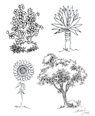 收集   点赞  评论  环设景观植物手绘技法 0 149 裴安  发布到  速写