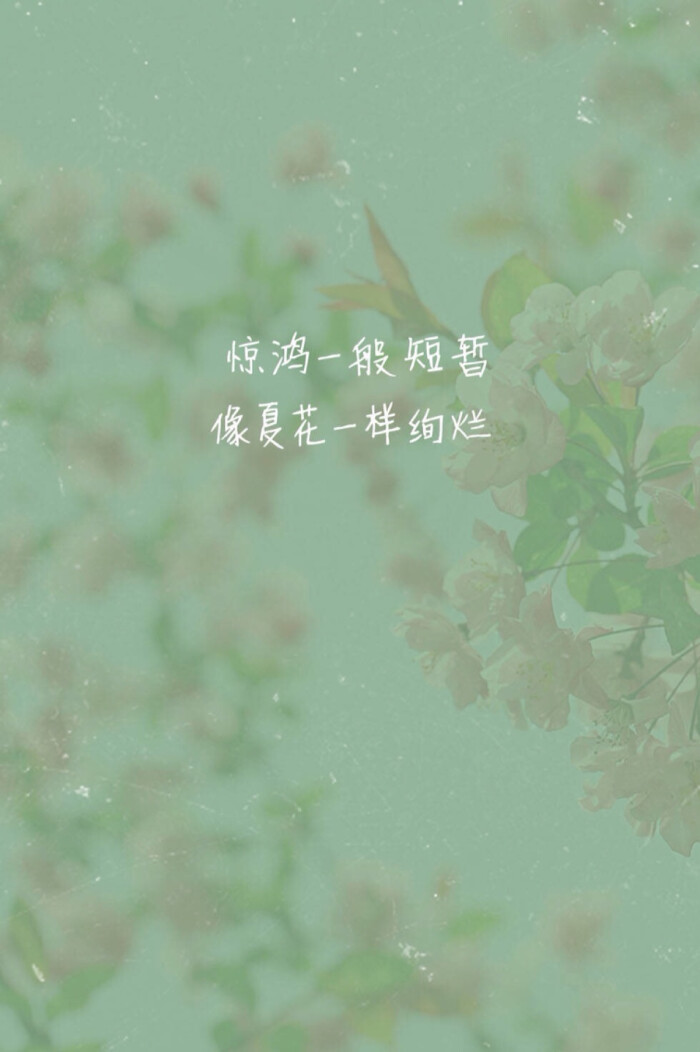 朴树《生如夏花》歌词壁纸