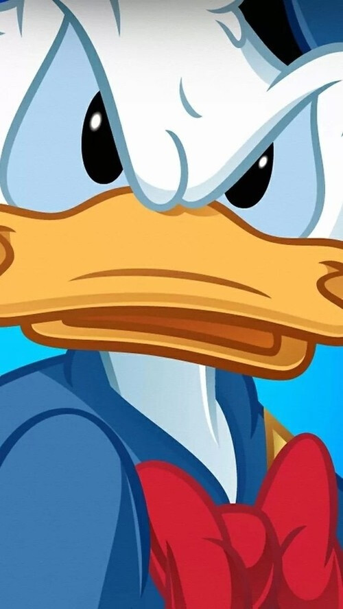 donald duck - 堆糖,美图壁纸兴趣社区