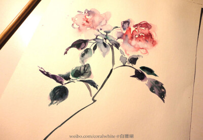 花草,水墨,封面,淡雅,唯美,插画,古风