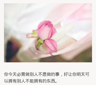加油 姑娘 - 堆糖,美图壁纸兴趣社区