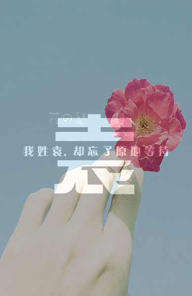 袁姓壁纸