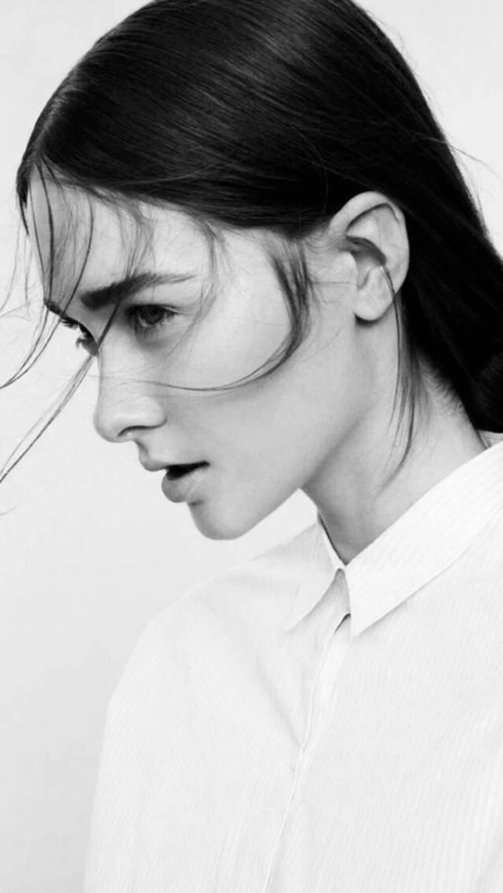 黑白 美女壁纸 头像 杨颖 不是欧美