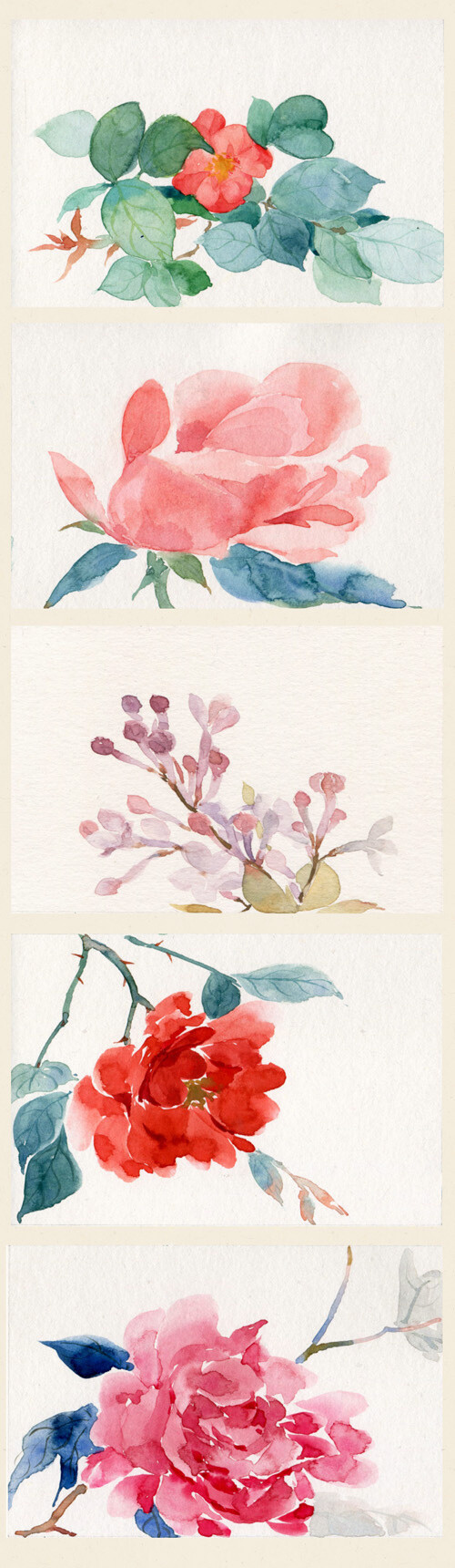 花草,水墨,封面,淡雅,唯美,插画,古风