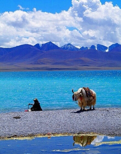 我念念不忘的梦想 爱旅行 - 堆糖,美图壁纸兴趣社区