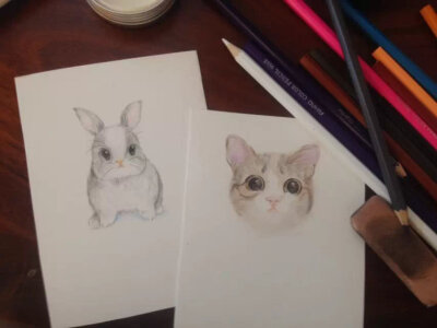 彩色铅笔 临摹 可爱萌兔 小猫咪 彩铅