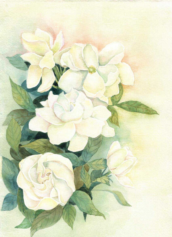 花草,水墨,封面,淡雅,唯美,插画,古风