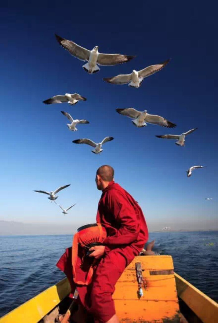 旅行,自由,西藏,僧人