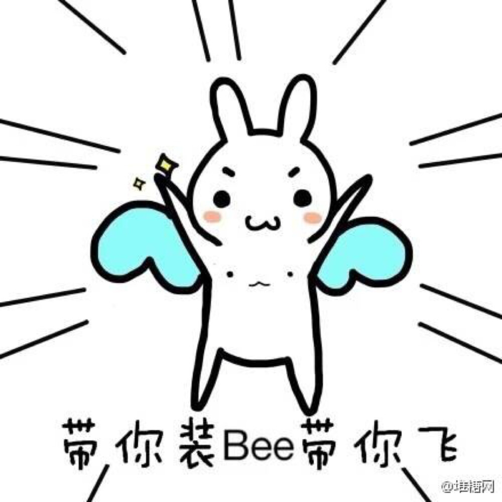 带你装bee带你飞