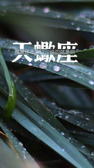 "苹果6"壁纸"文字"星座"天蝎