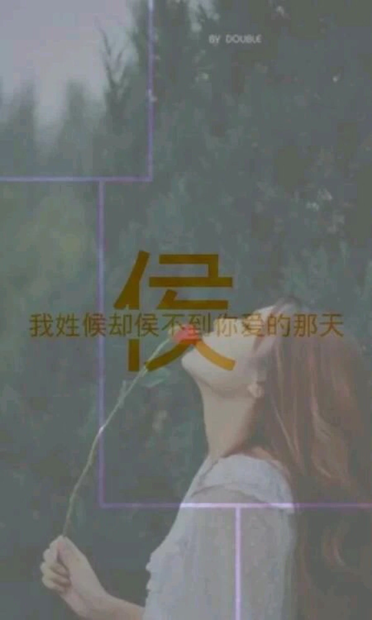 我姓侯 堆糖,美图壁纸兴趣社区