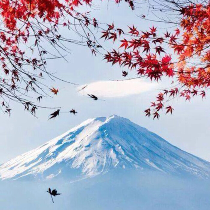 日本福冈县 时区 9小时 富士山之秋 红叶飘零的情怀 堆糖 美图壁纸兴趣社区