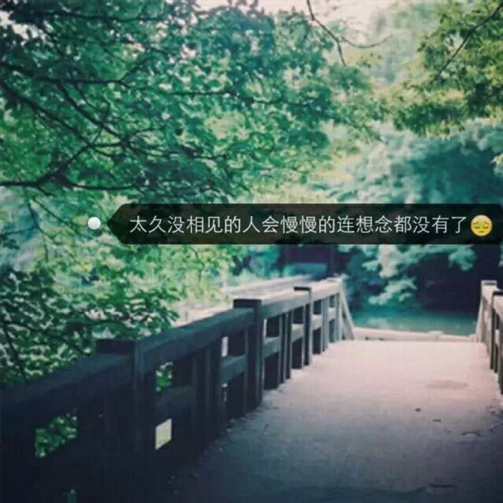 美图 美文