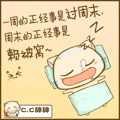 沪江猫cc 小可爱 周末睡懒觉