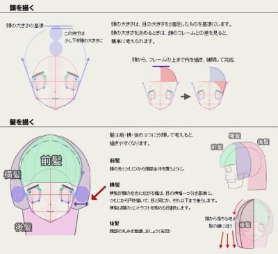 从下颚边界点处分别向上(颧骨),向下(沿代表脸型的圆做切线)引出脸型